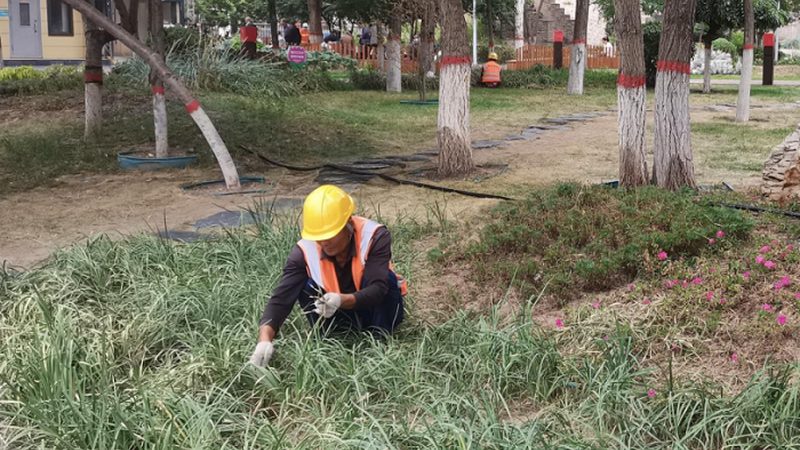 立体绿化自动灌溉系统：如何实现高效节水与养护