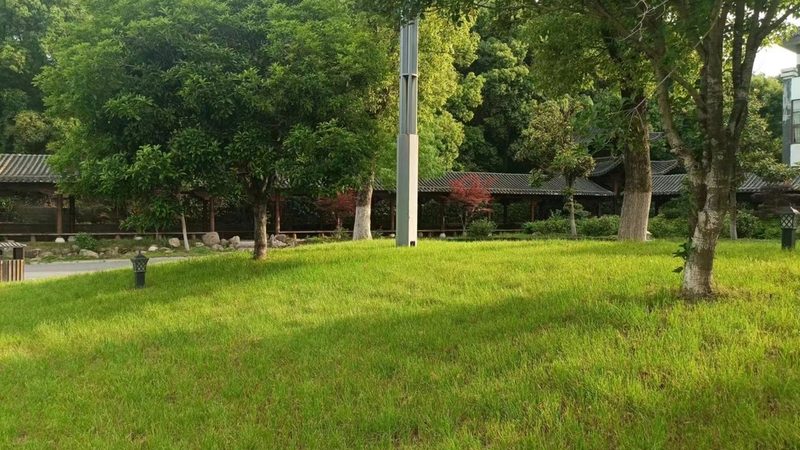 庭院水景防水涂料与卷材：如何选择更适合的防水方案