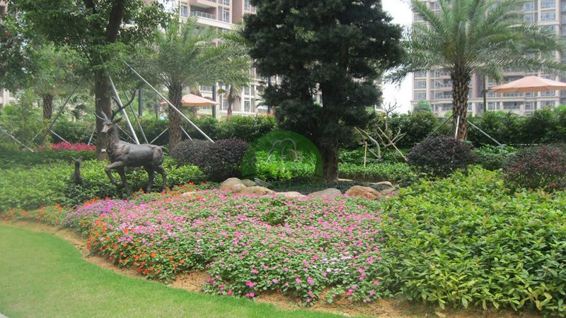 假山喷泉高度：如何把握景观美学与实用性的平衡**