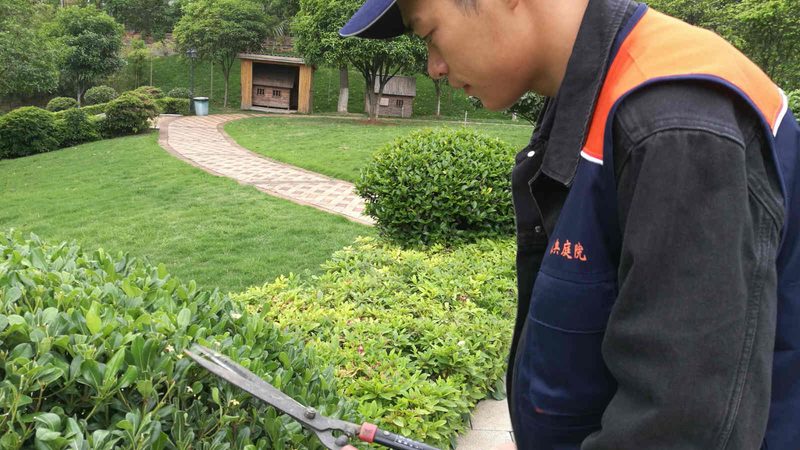 绿化景观设计：传统与现代的碰撞与融合**