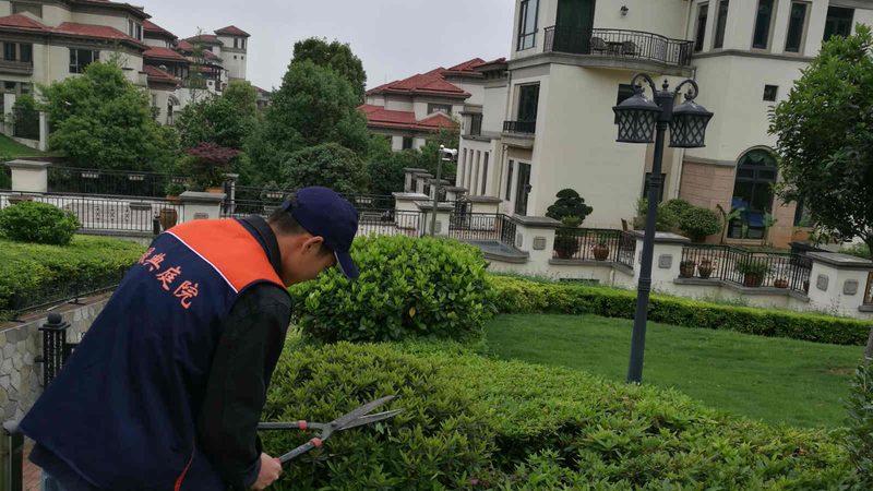 立体绿化技术规范标准全解析