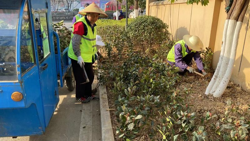 高尔夫球场草坪铺设成本解析：影响因素与预算考量
