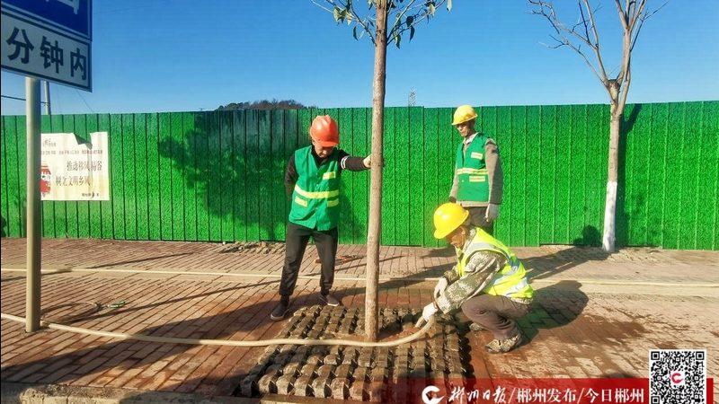 园林绿化养护管理标准规范：关键要点与实施指南**