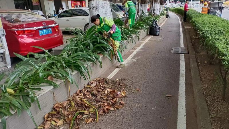 顶楼露台花园设计，成本如何控制？**