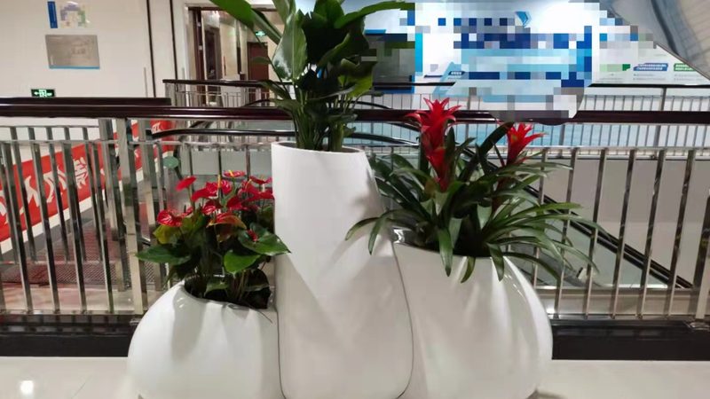 屋顶绿化植物价格之谜：揭秘影响价格的关键因素