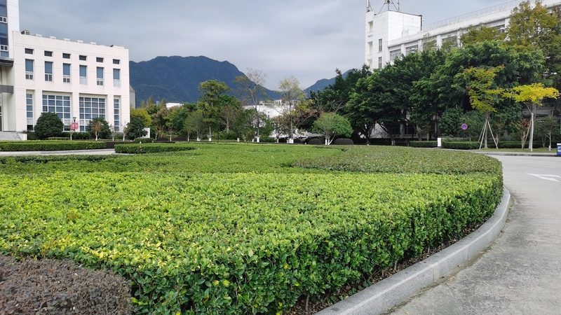 植物墙价格之谜：揭秘一平米成本构成