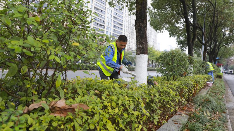 高档花卉租摆定制：打造绿色空间的秘密武器**